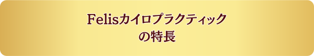 Felisカイロプラクティックの特長